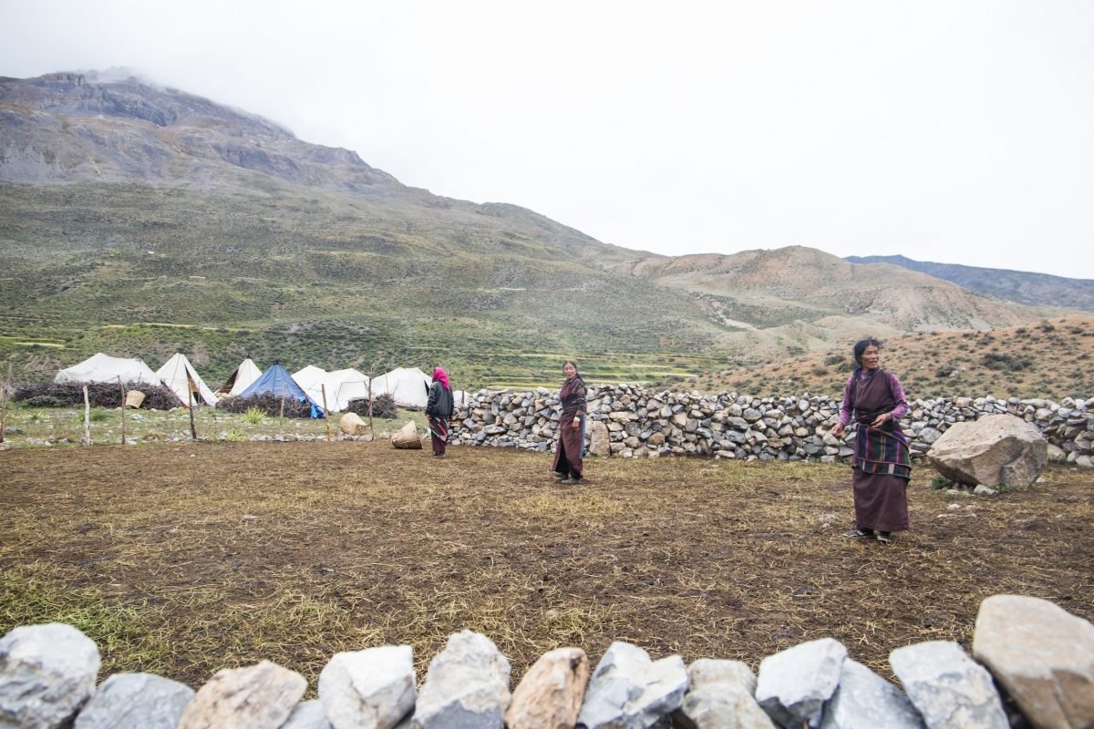 Project on “Foxlights – Helping Herders Coexist with Snow Leopards in Nepal”, 2022 image